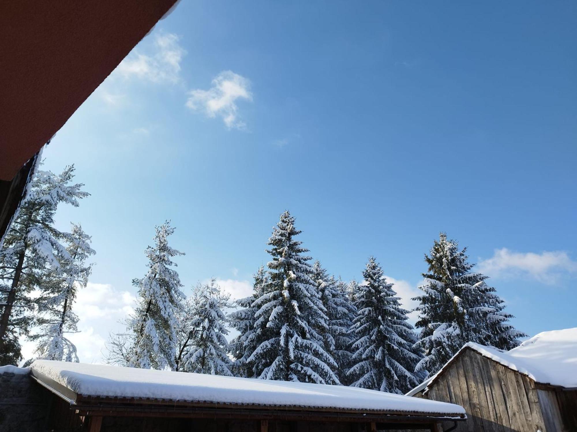 Ferienwohnung Kuca Za Odmor Blizanke Ogulin Exterior foto